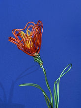 Load image into Gallery viewer, Tulip