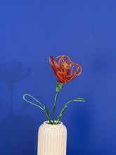 Load image into Gallery viewer, Tulip