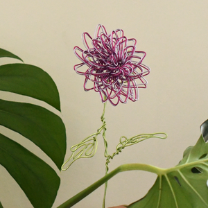 Dahlia - Wire Flower