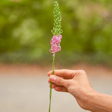 Load image into Gallery viewer, Light Pink Veronica - Speedwell &quot;Tubular Flowers&quot; - One Million Roses