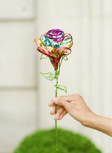Load image into Gallery viewer, Rainbow Rose 🌈